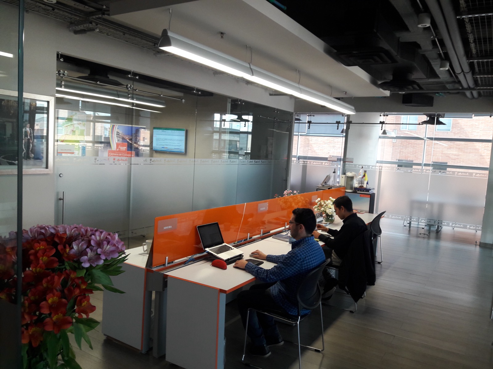 Developers working at Minubia office